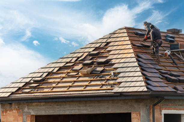 Best Roof Ventilation Installation  in Sullivan, IL